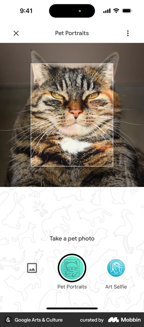 Google Arts & Culture