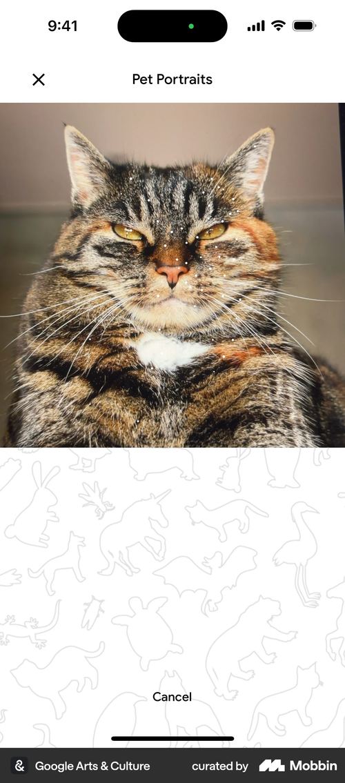 Google Arts & Culture