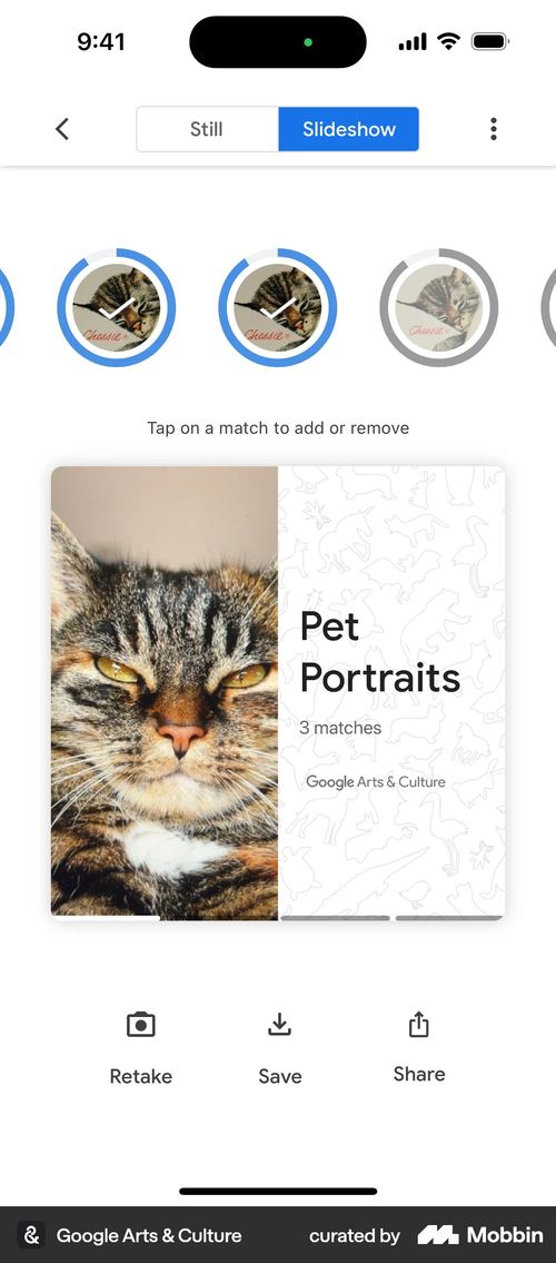 Google Arts & Culture