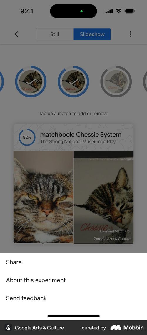 Google Arts & Culture