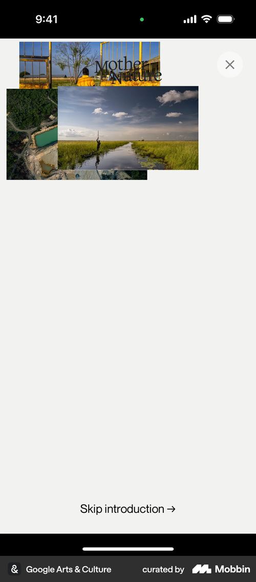 Google Arts & Culture