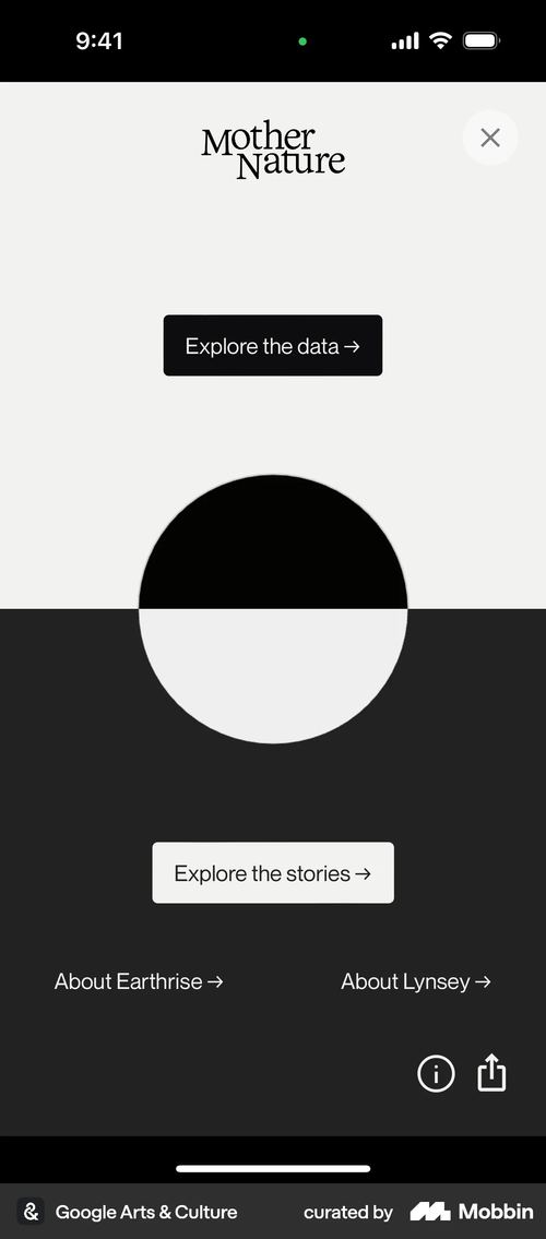 Google Arts & Culture